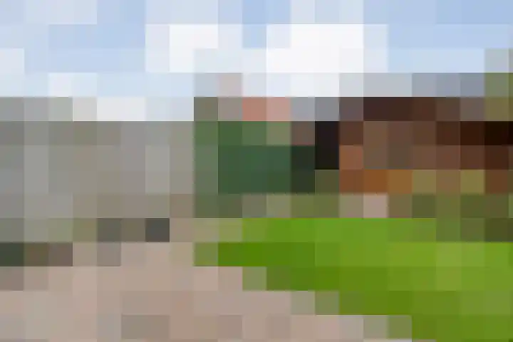 Landmanmarke 19 Dalfsen thumbnail 25