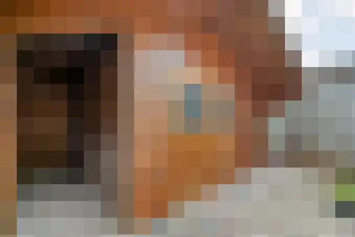 Landmanmarke 19 Dalfsen thumbnail 26
