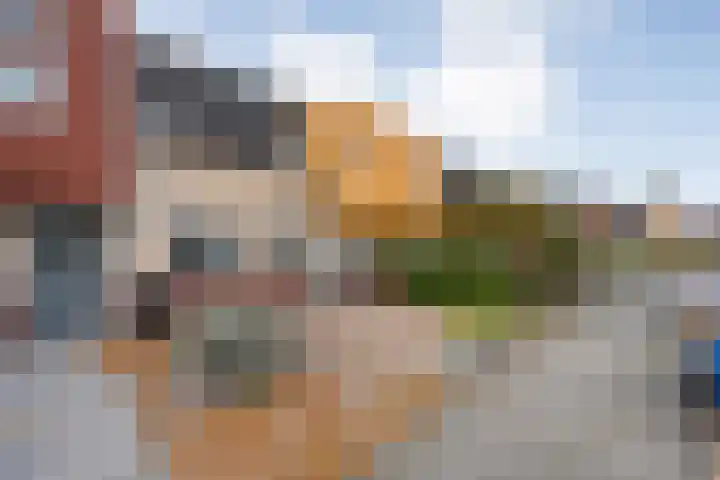 Landmanmarke 19 Dalfsen thumbnail 4