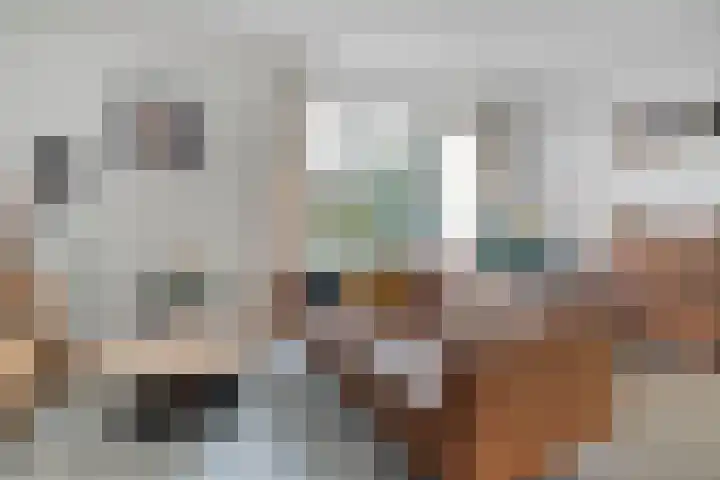 Landmanmarke 21 Dalfsen thumbnail 10