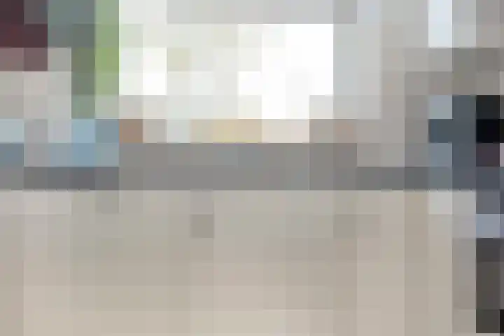 Landmanmarke 21 Dalfsen thumbnail 14