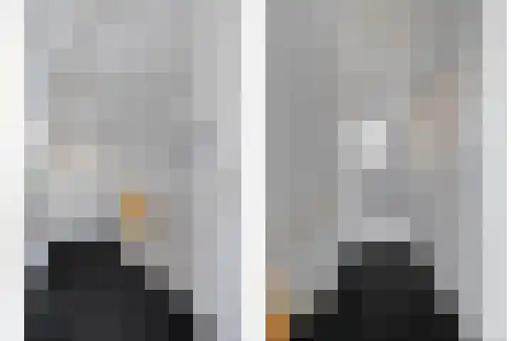 Landmanmarke 21 Dalfsen thumbnail 16