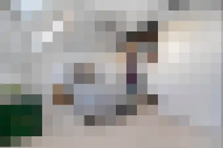 Landmanmarke 21 Dalfsen thumbnail 17