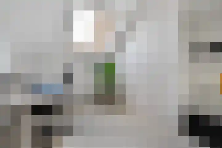 Landmanmarke 21 Dalfsen thumbnail 19