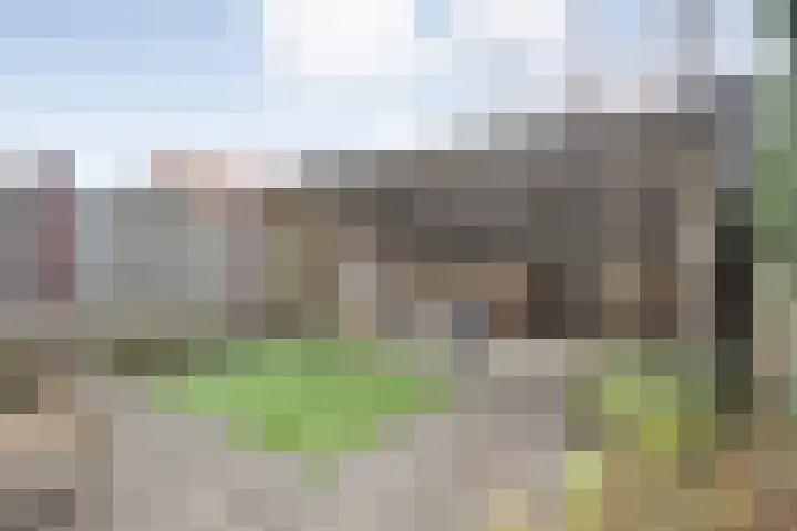 Landmanmarke 21 Dalfsen thumbnail 23