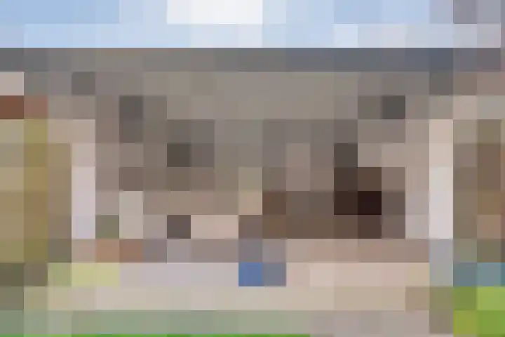 Landmanmarke 21 Dalfsen thumbnail 24