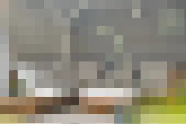Landmanmarke 21 Dalfsen thumbnail 27