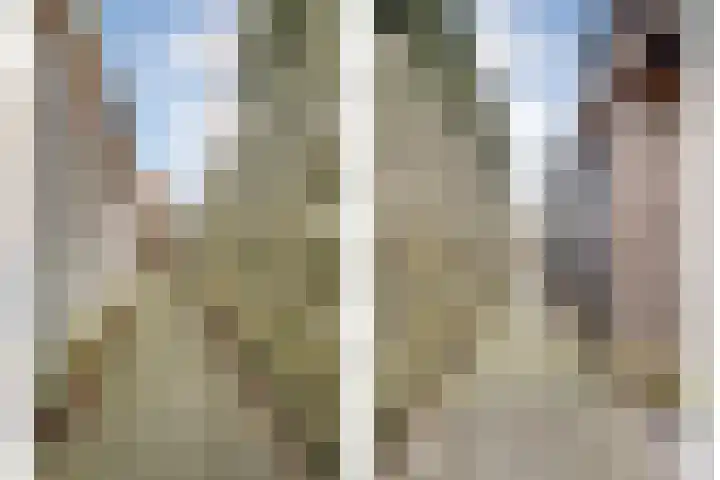 Landmanmarke 21 Dalfsen thumbnail 29