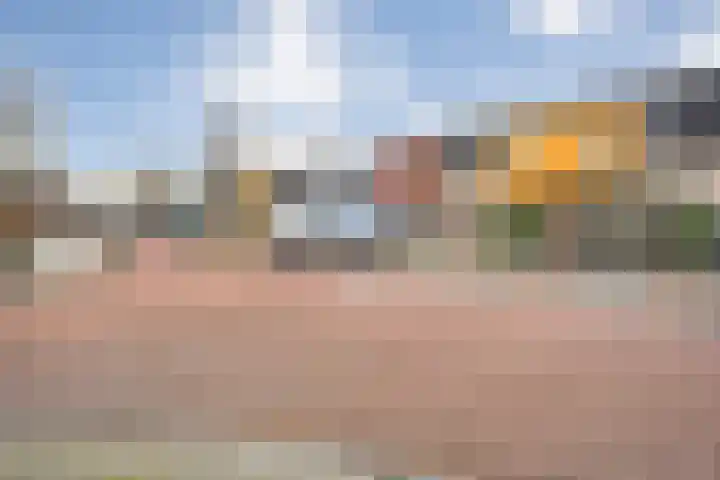 Landmanmarke 21 Dalfsen thumbnail 30