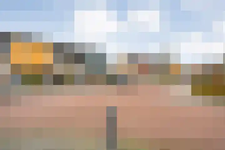 Landmanmarke 21 Dalfsen thumbnail 32