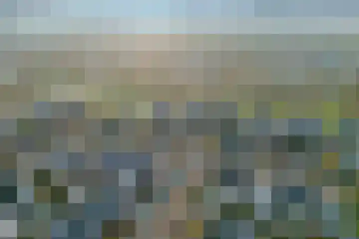 Landmanmarke 21 Dalfsen thumbnail 33