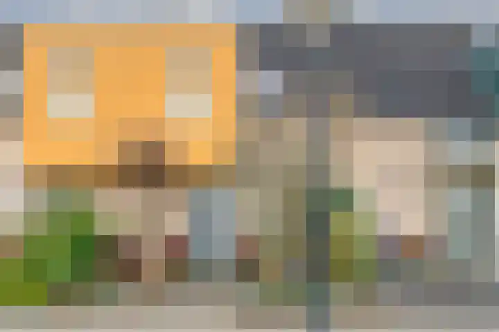 Landmanmarke 21 Dalfsen thumbnail 4