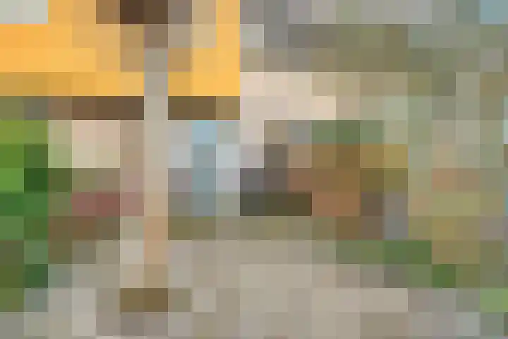 Landmanmarke 21 Dalfsen thumbnail 5