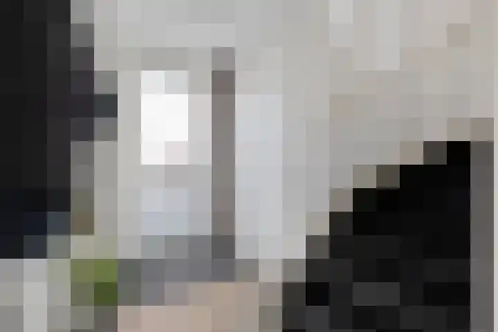 Landmanmarke 21 Dalfsen thumbnail 6