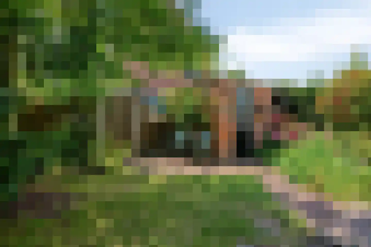 Landmanshof 36 Hendrik-Ido-Ambacht thumbnail 4
