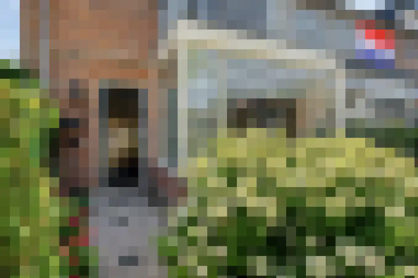 Landmanshof 36 Hendrik-Ido-Ambacht thumbnail 5
