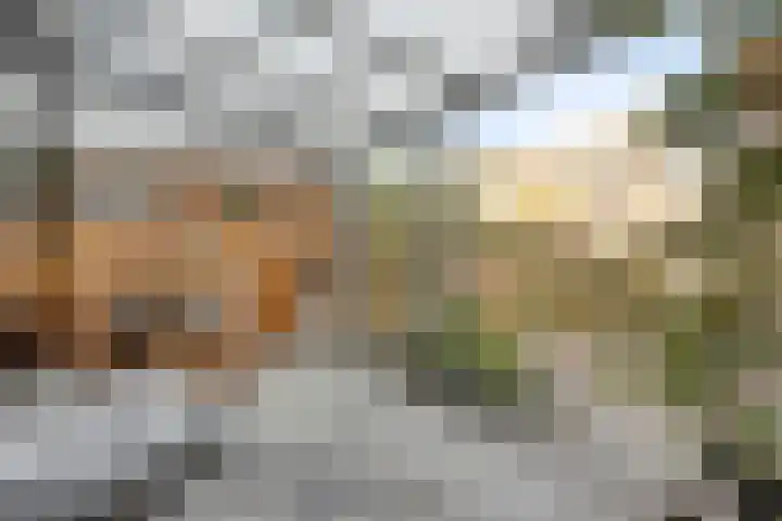 Landmanshof 91 Hendrik-Ido-Ambacht thumbnail 28