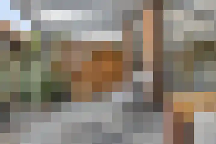 Landmanshof 91 Hendrik-Ido-Ambacht thumbnail 29