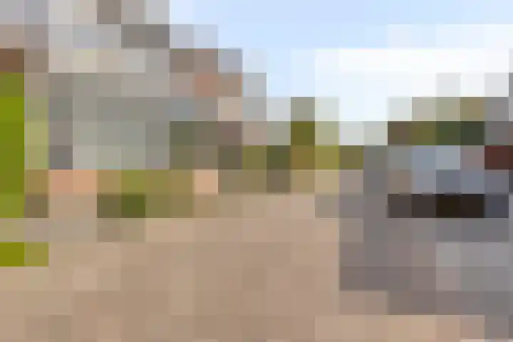 Landmanshof 91 Hendrik-Ido-Ambacht foto 3