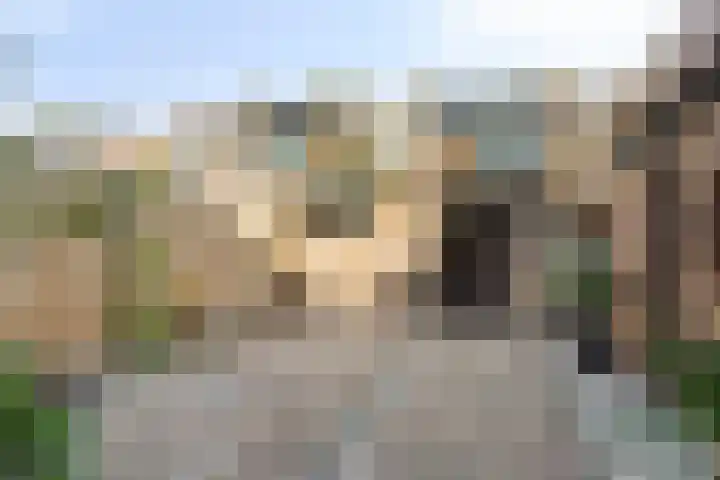 Landmanshof 91 Hendrik-Ido-Ambacht thumbnail 30