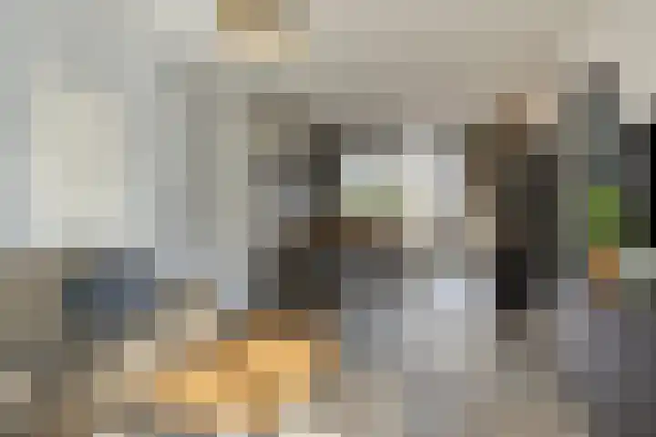Landmanshof 91 Hendrik-Ido-Ambacht thumbnail 6