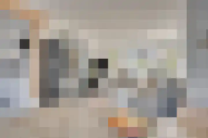 Landmanshof 91 Hendrik-Ido-Ambacht thumbnail 8