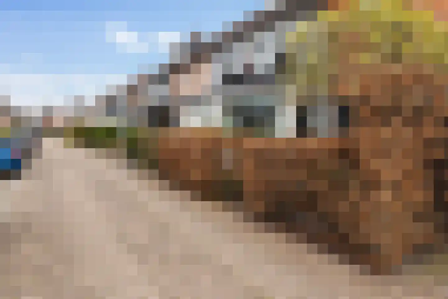 Landmanshof 95 Hendrik-Ido-Ambacht thumbnail 5