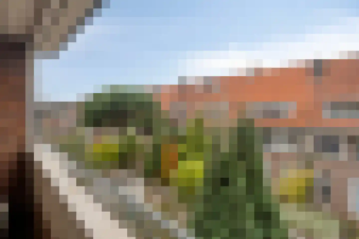 Landmanstraat 9 A Rotterdam thumbnail 17