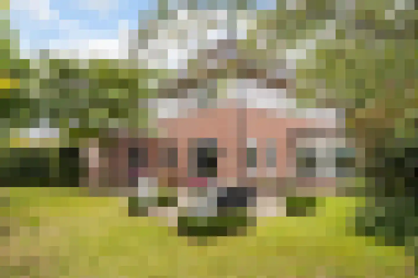 Landmansweg 103 Hengelo thumbnail 35