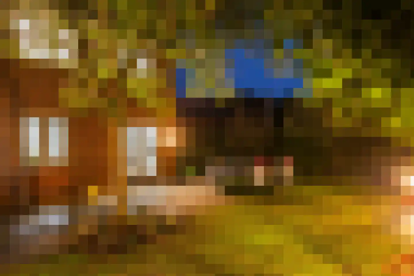 Landmansweg 103 Hengelo thumbnail 36