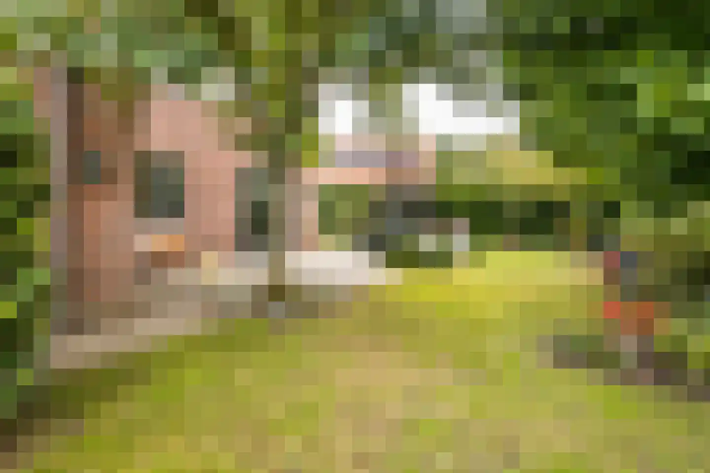 Landmansweg 103 Hengelo thumbnail 37