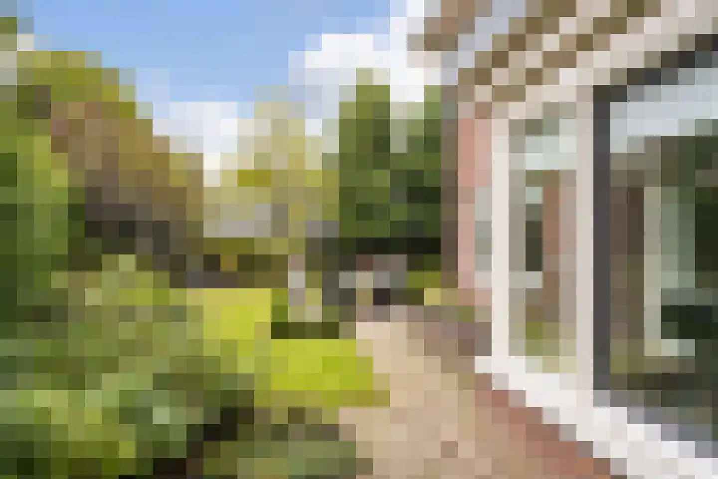 Landmansweg 103 Hengelo thumbnail 38