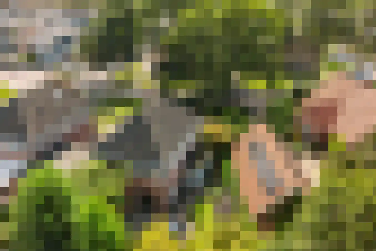 Landmansweg 103 Hengelo thumbnail 39