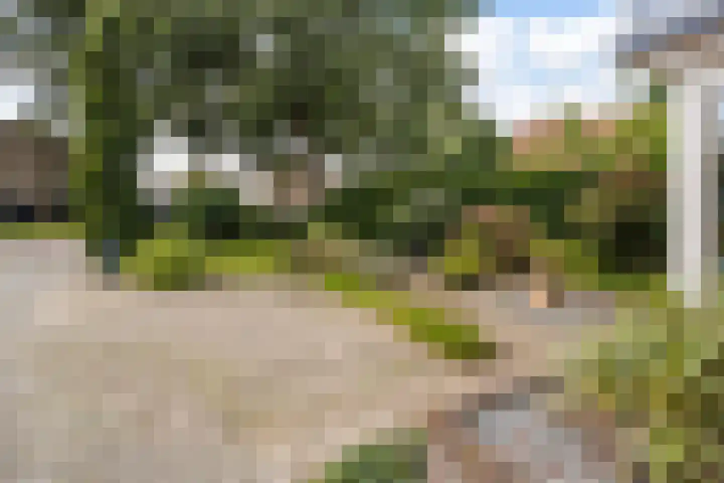 Landmansweg 103 Hengelo thumbnail 41