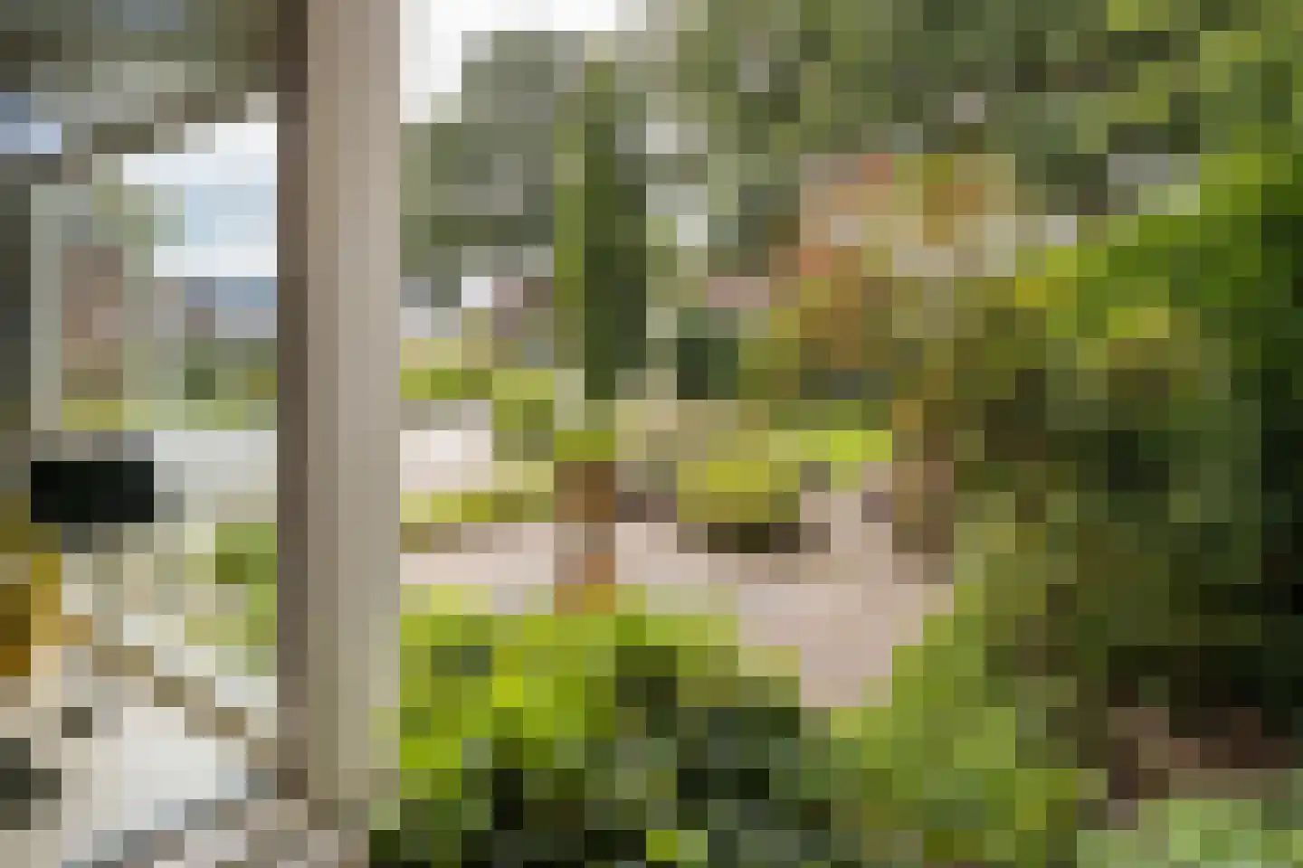 Landmansweg 103 Hengelo thumbnail 42