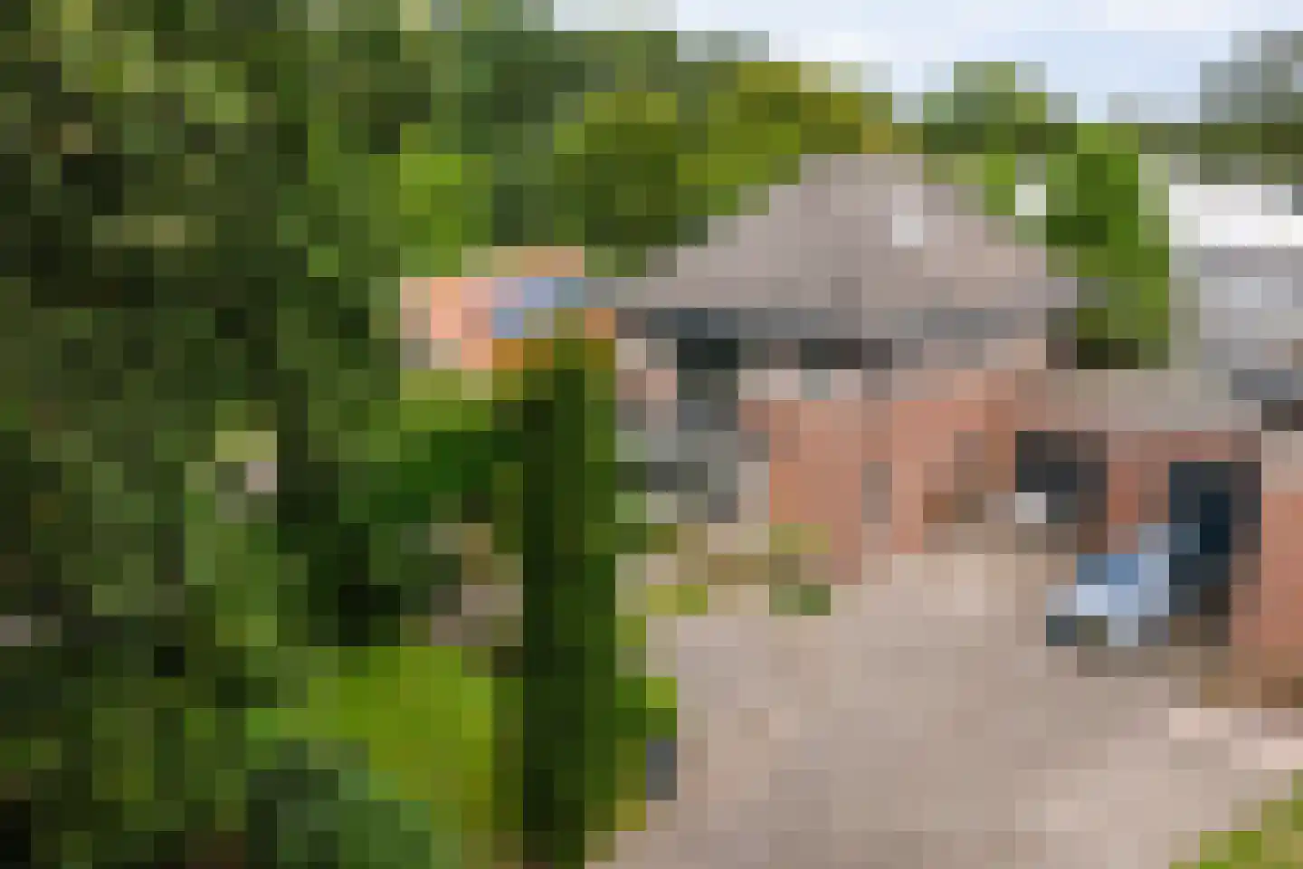 Landmansweg 103 Hengelo thumbnail 44