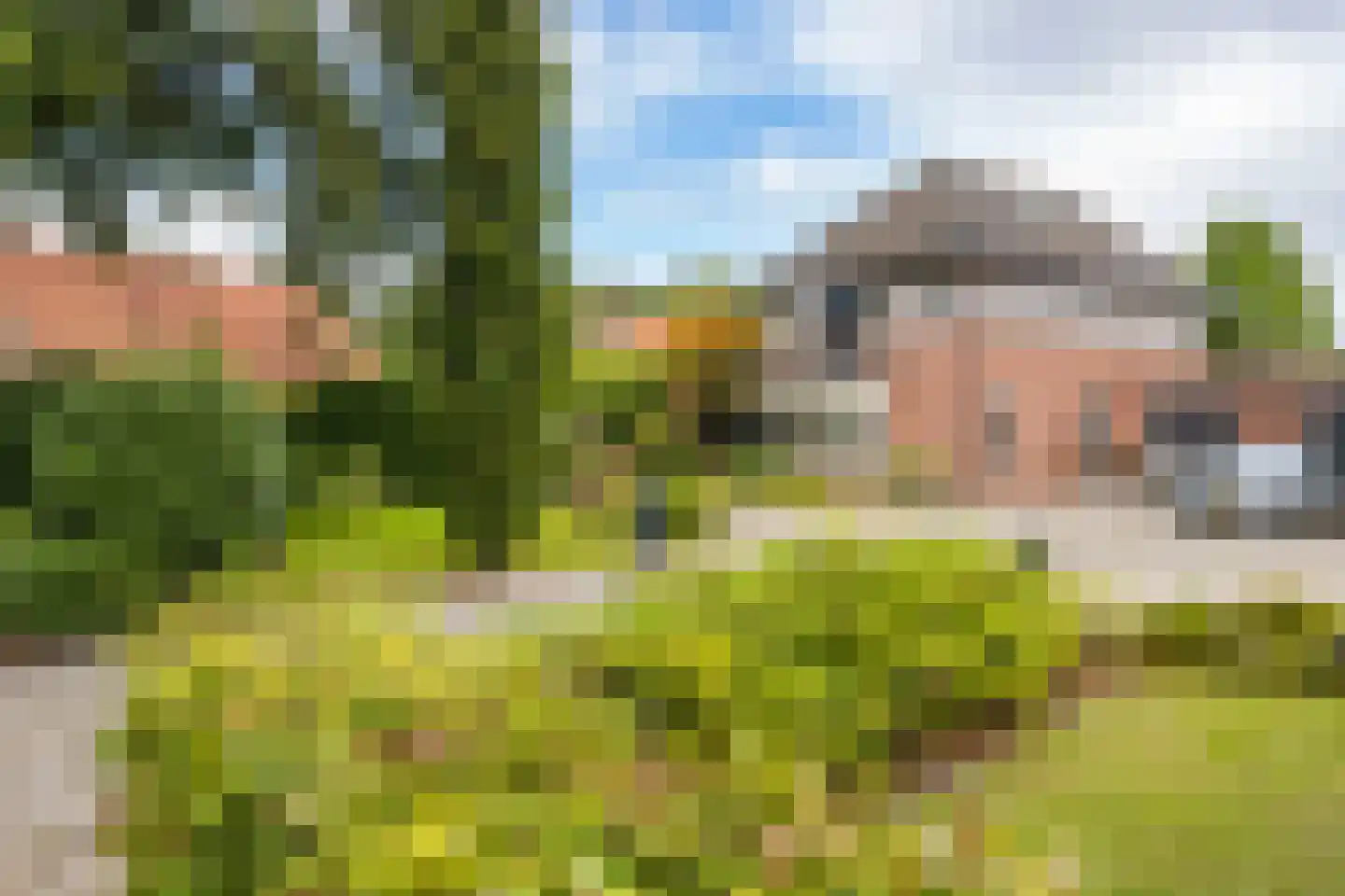 Landmansweg 103 Hengelo thumbnail 46