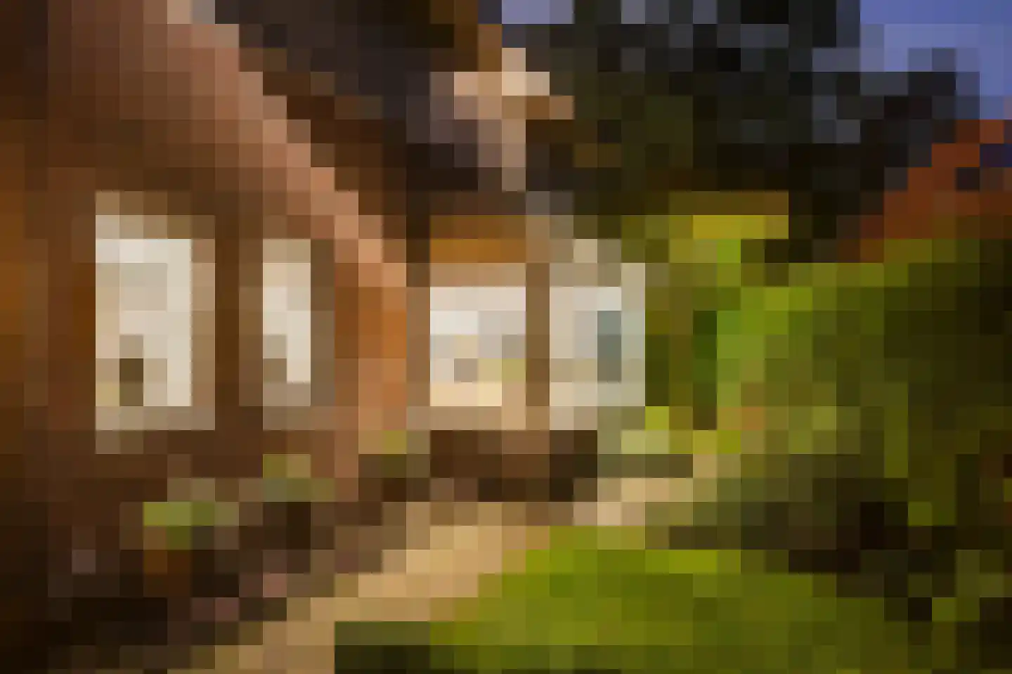 Landmansweg 103 Hengelo thumbnail 51