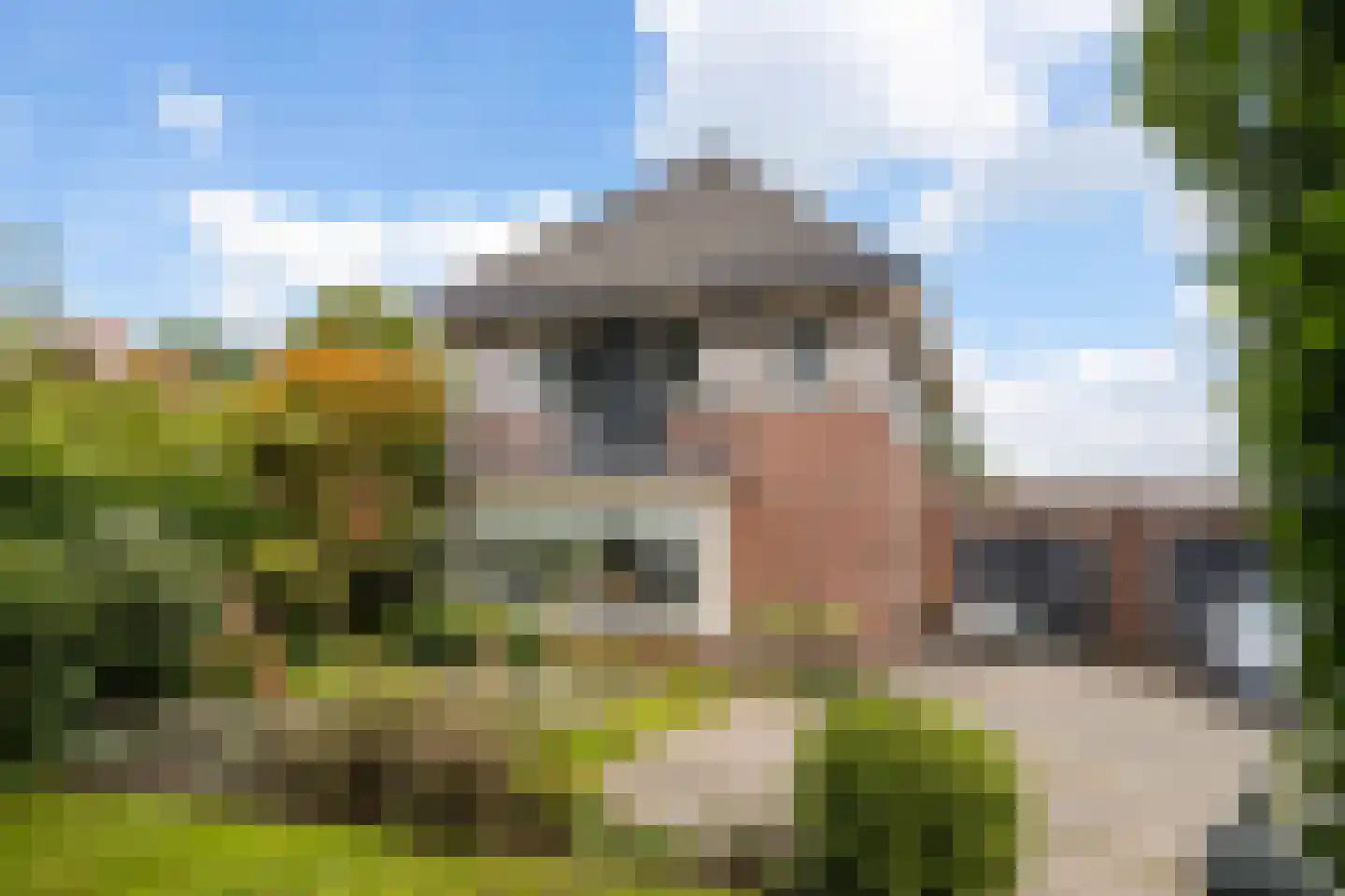 Landmansweg 103 Hengelo thumbnail 6