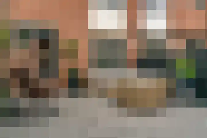 Landmansweide 14 Nieuwegein thumbnail 12