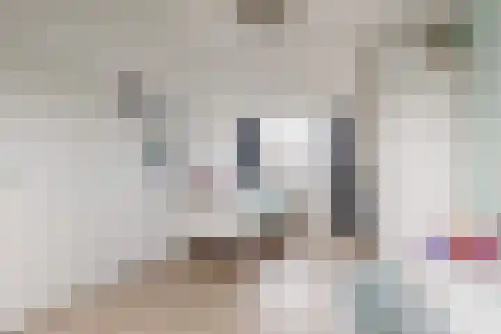 Landmansweide 14 Nieuwegein thumbnail 33