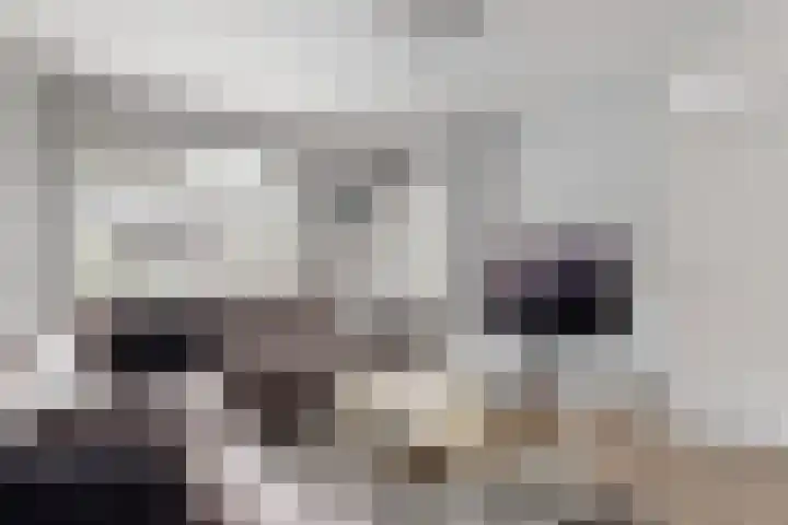 Landmansweide 14 Nieuwegein thumbnail 4