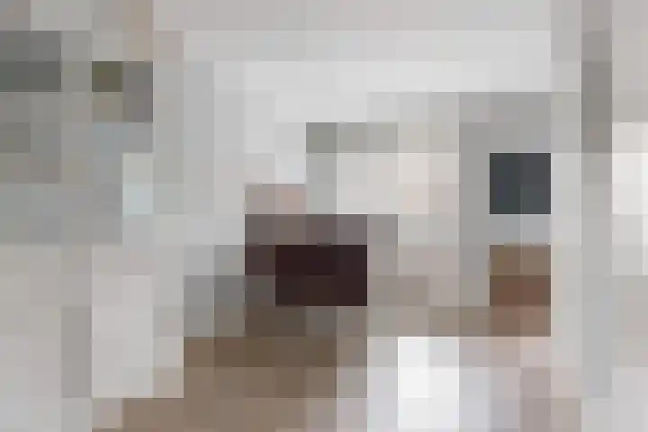 Landmansweide 14 Nieuwegein thumbnail 6