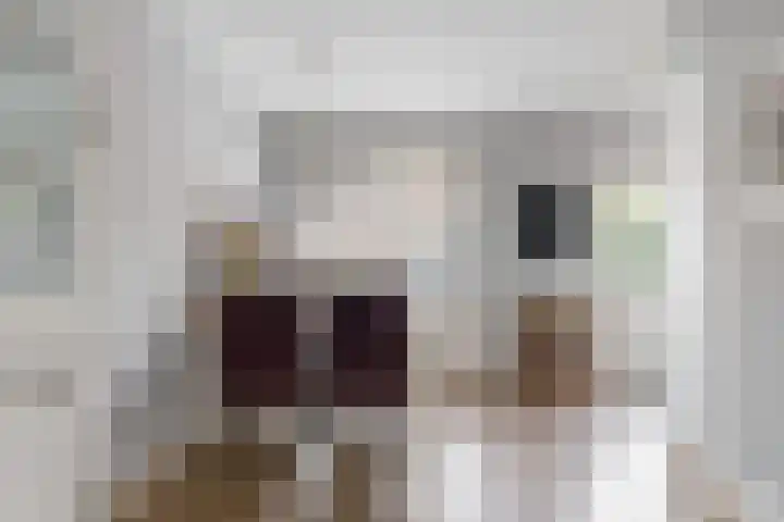 Landmansweide 14 Nieuwegein thumbnail 7