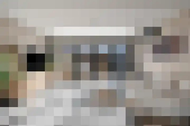 Landmansweide 2 Nieuwegein thumbnail 12