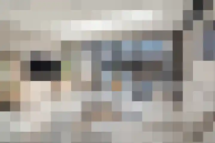 Landmansweide 2 Nieuwegein thumbnail 13