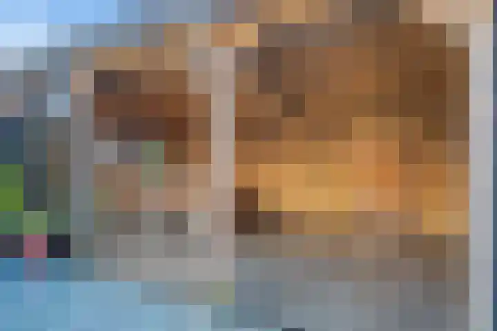 Landmansweide 2 Nieuwegein thumbnail 17
