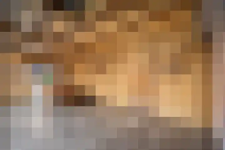 Landmansweide 2 Nieuwegein thumbnail 18