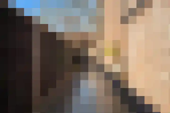 Landmansweide 2 Nieuwegein thumbnail 22