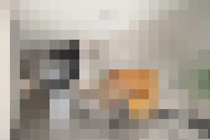 Landmansweide 2 Nieuwegein thumbnail 24